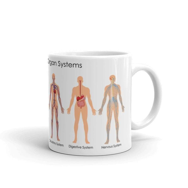 Science Mug 32,5 cl "Human Body Organ Systems" Science Mug The Sexy Scientist