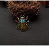 Animal Brooch Beetle Brooch - Zinc The Sexy Scientist